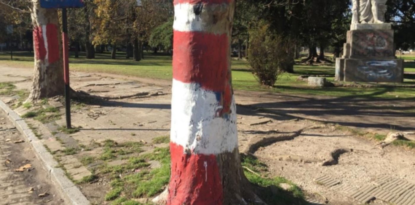 1563137302119.jpeg?height=508&x=5&y=202&scaleX=1&scaleY=1&ow=1024&oh=768&width=1016&rotate=0&&cw=1920&ch=950