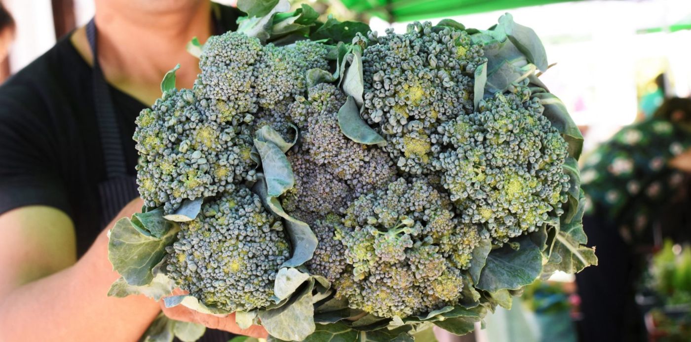 1576964099113.jpg?rotate=0&scaleX=1&scaleY=1&oh=1365&y=196&width=2039&height=1019&ow=2048&x=5&&cw=1920&ch=950