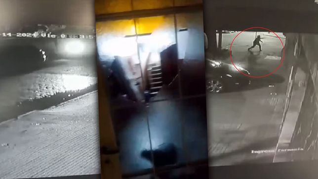 denuncian ataque a piedrazos a la casa de militantes de franja morada de la plata
