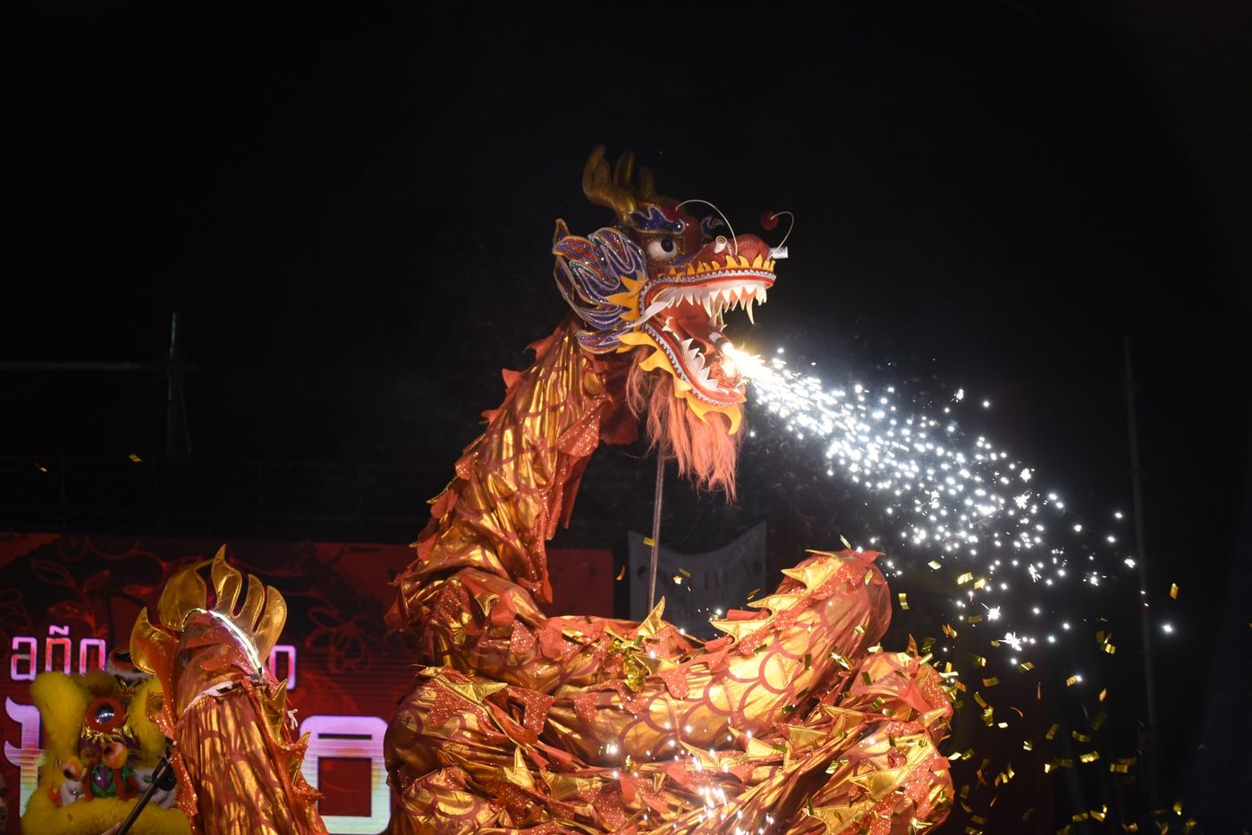 Año Nuevo Chino (8)