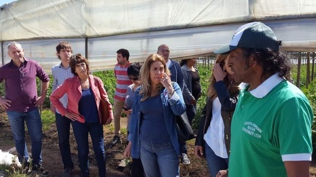 una comision del concejo deliberante se reunio en pleno cinturon frutihorticola de la plata