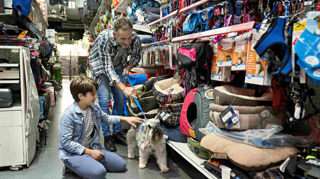 ¿como es la nueva oferta de la cuenta dni del banco provincia para ahorrar hasta $16 mil en veterinarias y pet shops?