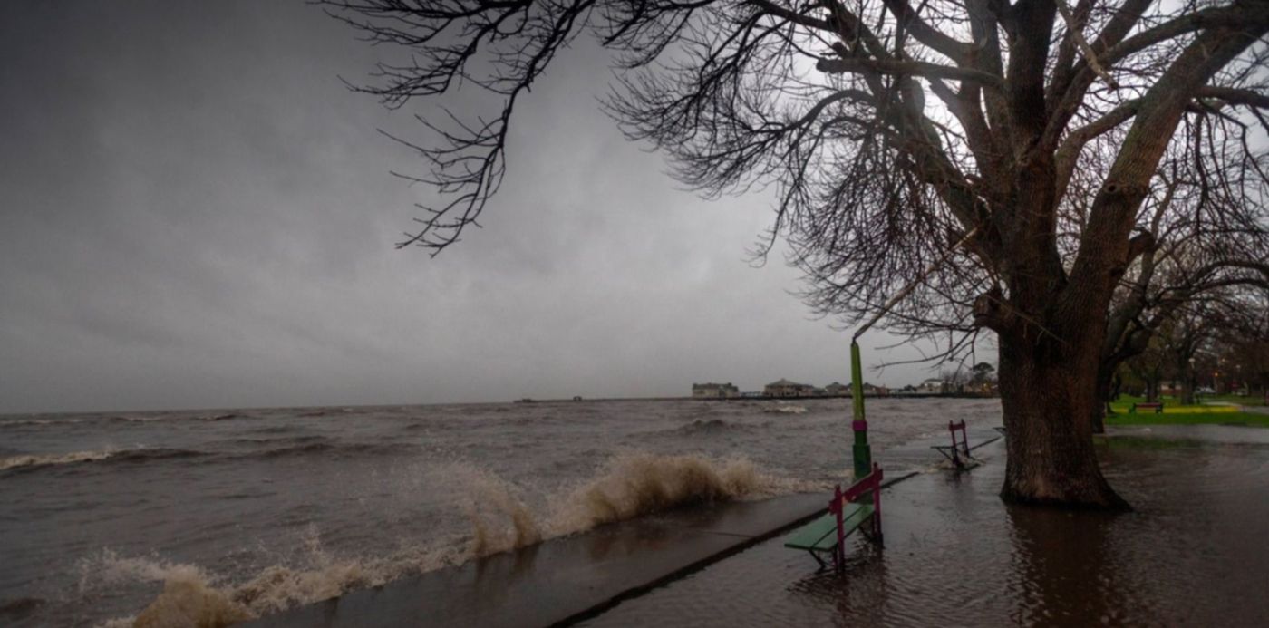 1549930470762.jpg?width=1492&x=4&height=746&rotate=0&scaleX=1&scaleY=1&ow=1500&oh=994&y=133&&cw=1920&ch=950