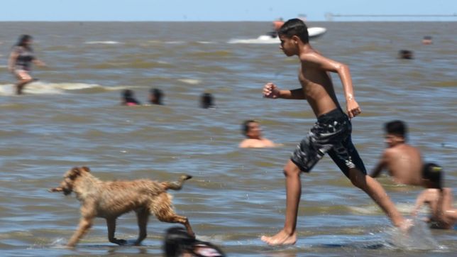 aseguran que habra temporada de verano a pesar del covid-19