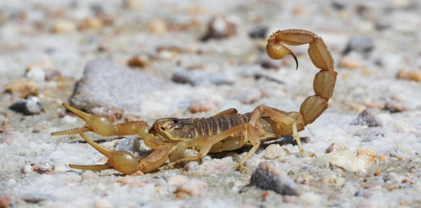 1639694865590.jpg?x=7&y=51&width=1486&height=743&rotate=0&scaleX=1&scaleY=1&ow=1500&oh=842&&cw=1920&ch=950