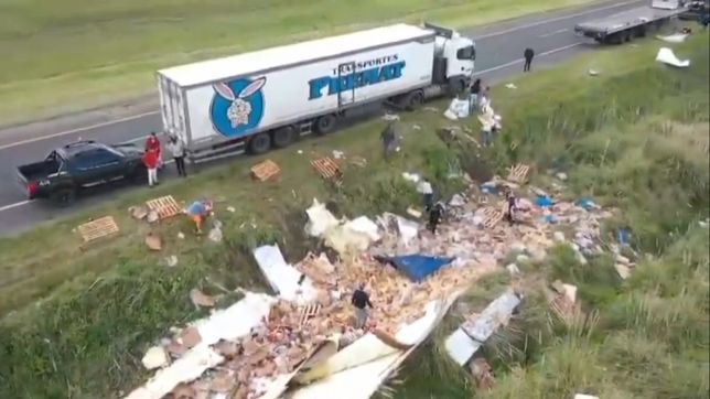 volco un camion de pollos en ruta 2 y los conductores frenaron para robarselos