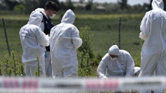 encontraron un feto humano en una bolsa de basura en la plata
