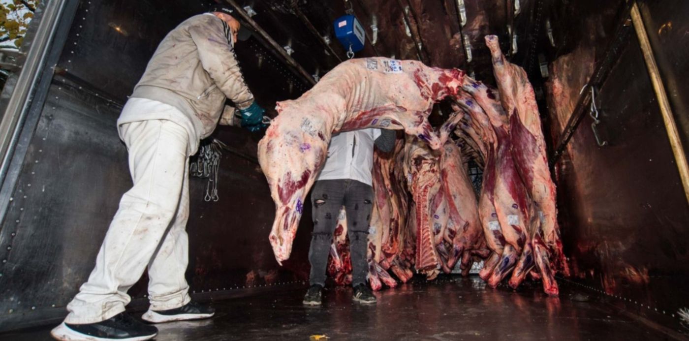 1622224720072.jpg?x= 3&y=212&width=1506&height=753&rotate=0&scaleX=1&scaleY=1&ow=1500&oh=998&&cw=1920&ch=950