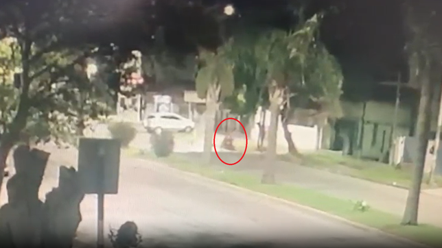 una mujer choco en moto por esquivar a un perro y ahora busca al joven que la asistio