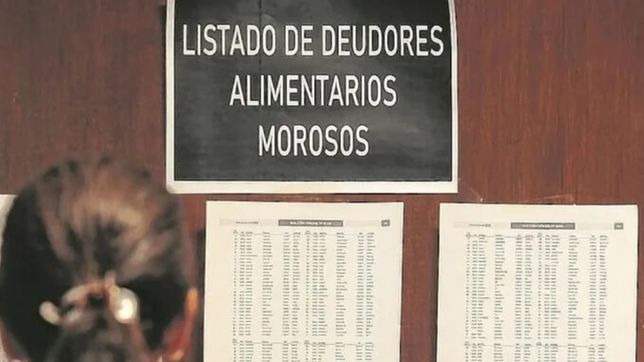 los deudores alimentarios que integran sociedades no podran cobrar dividendos