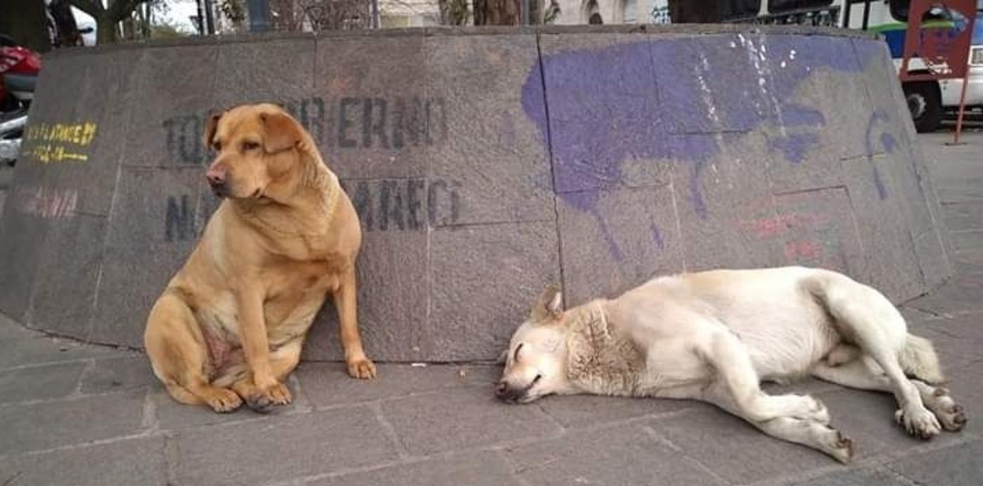 1568397916623.jpeg?width=716&height=358&scaleX=1&x=4&rotate=0&scaleY=1&ow=720&oh=540&y=32&&cw=1920&ch=950