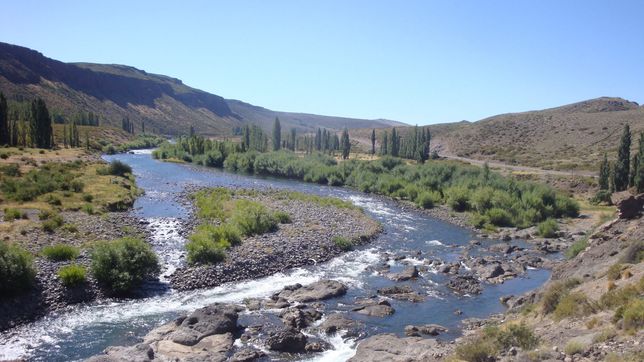 una maestra jardinera de la plata murio ahogada tratando de salvar a su hijo en neuquen