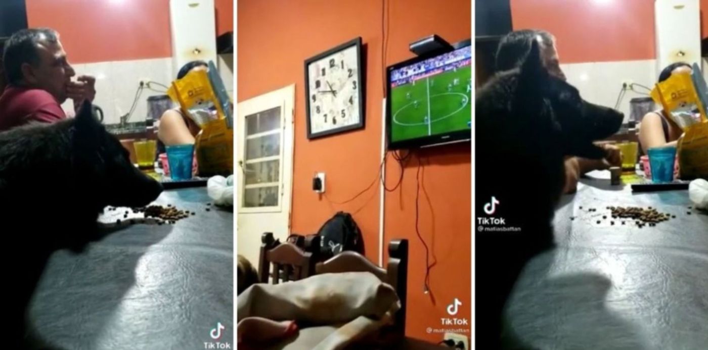 1641916141922.jpg?x=0&y= 9&width=1500&height=750&rotate=0&scaleX=1&scaleY=1&ow=1500&oh=742&&cw=1920&ch=950