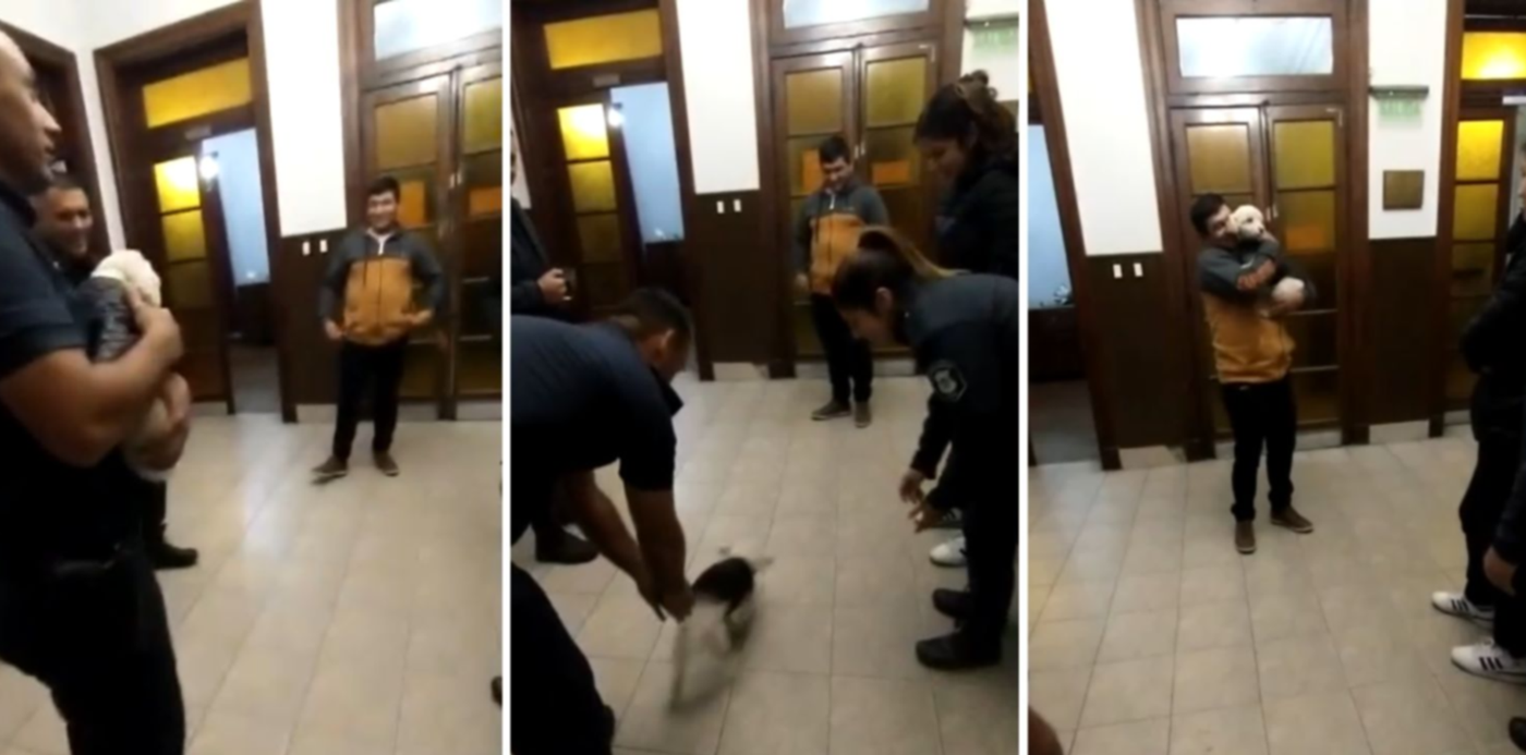 1681906426421.jpg?x=6&y=0&width=1484&height=742&rotate=0&scaleX=1&scaleY=1&ow=1500&oh=742&&cw=1920&ch=950