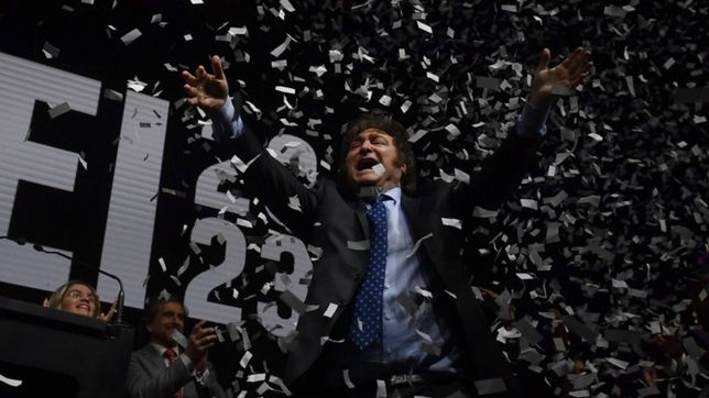 ¿cuantas bancas lograrian los libertarios de milei en los concejos de berisso y ensenada?