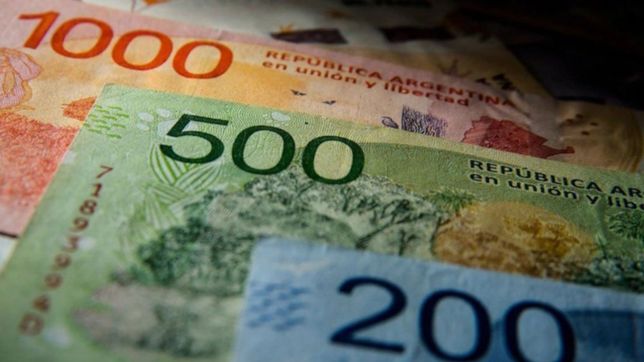 la semana que viene comienza el pago del bono de la anses y asi es el calendario de cobro