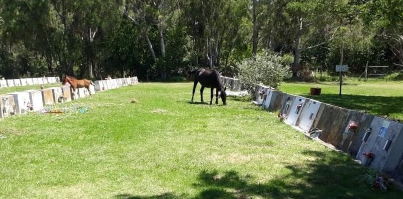 1606745683451.jpg?x=4&y=3&width=742&height=371&rotate=0&scaleX=1&scaleY=1&ow=748&oh=407&&cw=1920&ch=950