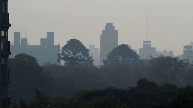 el humo del incendio en uruguay llego a la plata: ¿hasta cuando seguira?