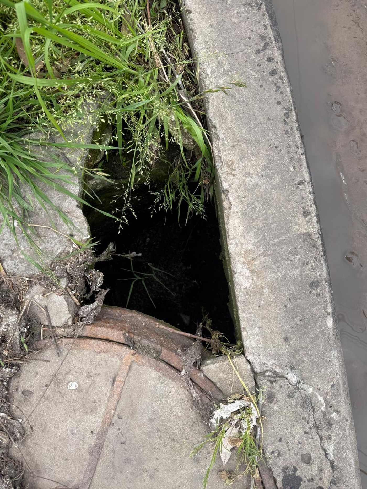 Una abertura junto al cord&oacute;n deja expuesta parte de la instalaci&oacute;n que el vecino se&ntilde;ala en su reclamo a ABSA
