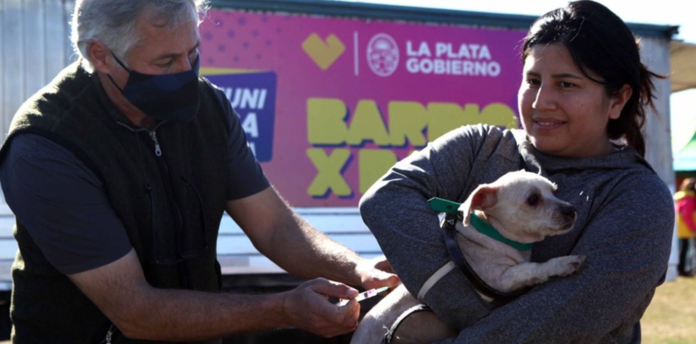 Barrio x barrio en Tolosa