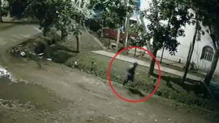 VIDEO: Filmaron a la banda que desvalijó a 11 amigos y tiene en vilo a un barrio