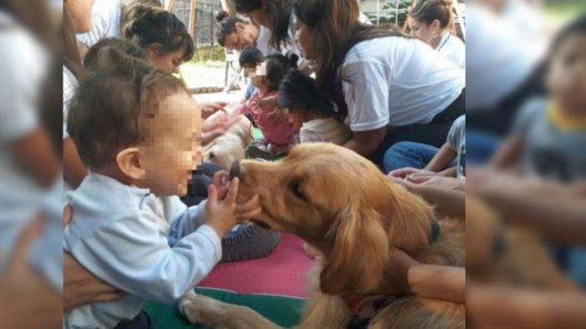 los nenes del hospital sbarra recibieron la visita de dos perras terapistas