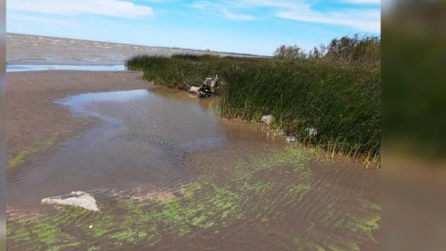 alarma en la region: llegaron las cianobacterias y asi estan las playas de punta lara