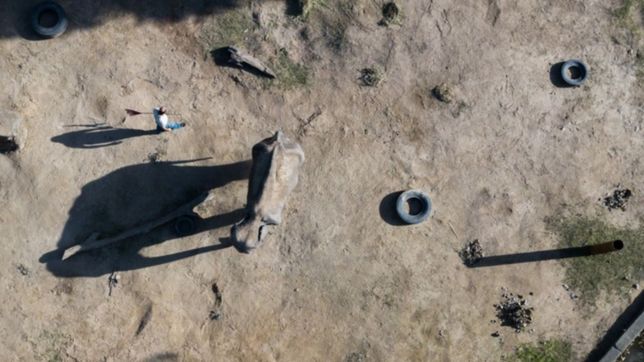 imperdible: pelusa vista desde el aire antes de su viaje a brasil
