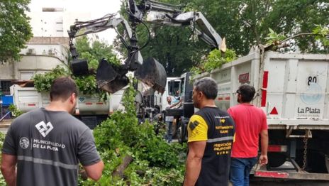 1575068490275.jpeg?height=630&scaleX=1&scaleY=1&ow=1280&oh=960&x=10&y=38&width=1261&rotate=0&&cw=1920&ch=950