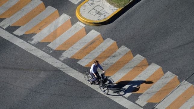 en lo que va del ano se pintaron mas de 15.000 metros de sendas y carriles en la plata