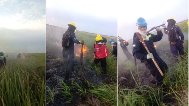 bomberos de ensenada controlaron cuatro focos de incendio en la reserva de punta lara