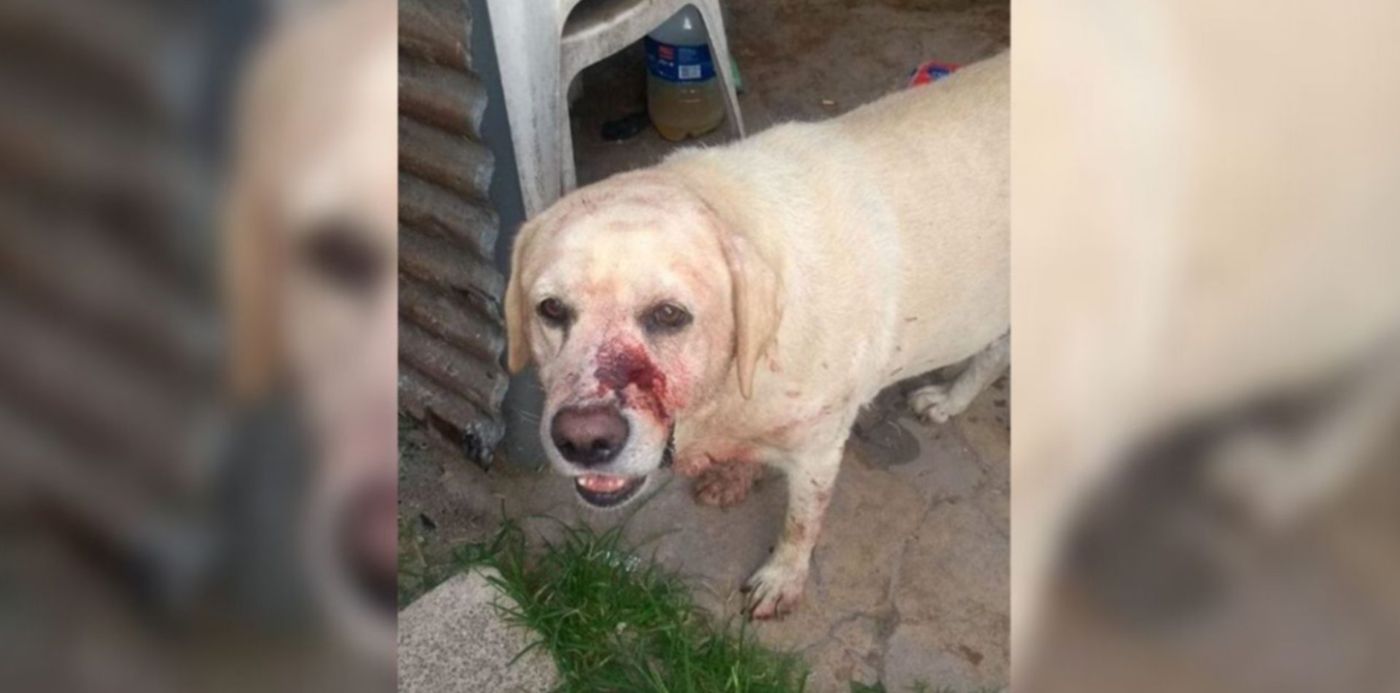 1582888155257.jpg?ow=1350&oh=650&width=1274&rotate=0&scaleX=1&scaleY=1&x=34&y=4&height=637&&cw=1920&ch=950