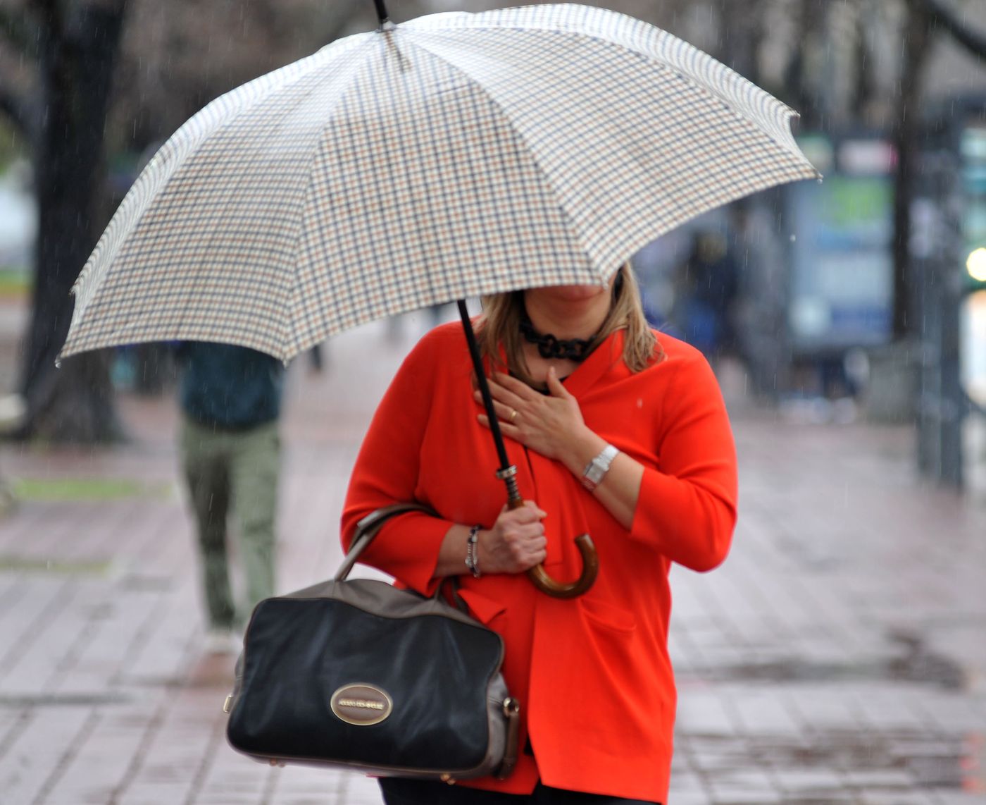 Clima Lluvia Lluvias (11).JPG