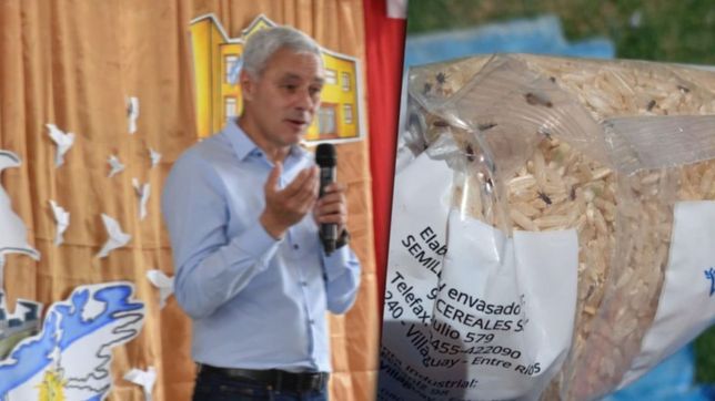 denuncian que la gestion de cagliardi entrego arroz con gorgojos a comedores de escuelas