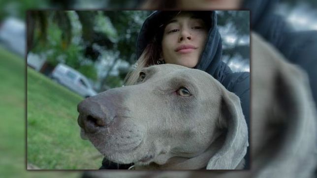 haran una autopsia a india, la perra que aparecio degollada y descuartizada en la plata