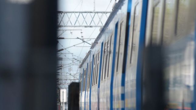 el tren roca funciona con servicio reducido por la caida de un arbol sobre los cables