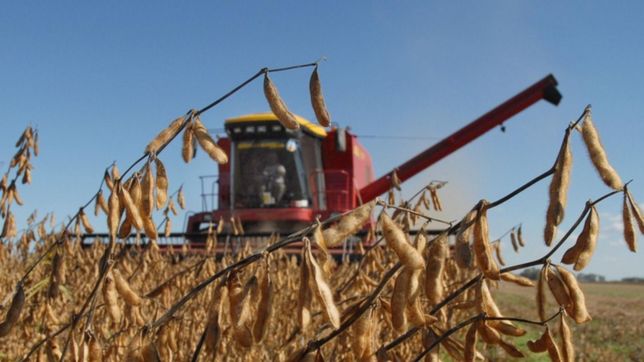 el nuevo dolar soja se lanza el lunes, costara 230 pesos y regira hasta fin de ano