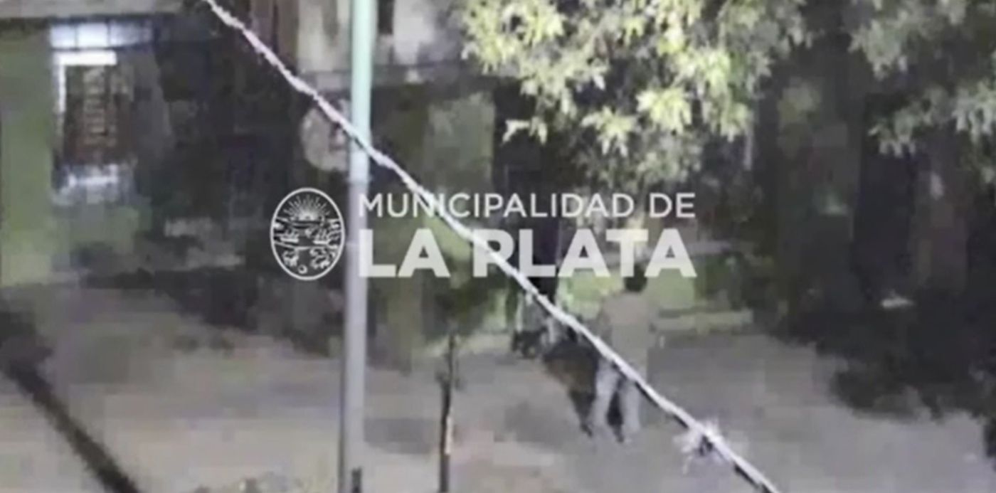 1555969699857.jpg?x=7&y=162&rotate=0&oh=943&width=1410&height=705&scaleX=1&scaleY=1&ow=1424&&cw=1920&ch=950