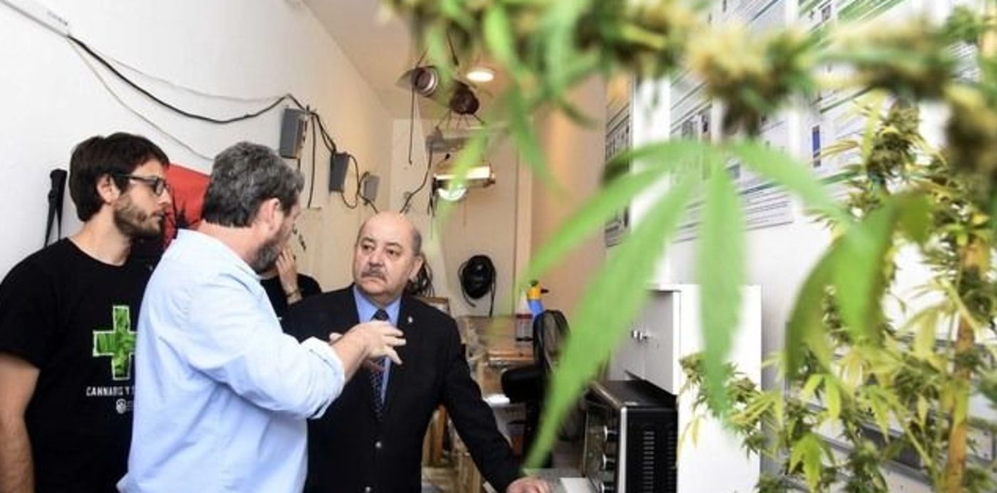 1576260579764.jpg?x=5&y=91&width=634&height=317&scaleY=1&rotate=0&scaleX=1&ow=640&oh=427&&cw=1920&ch=950