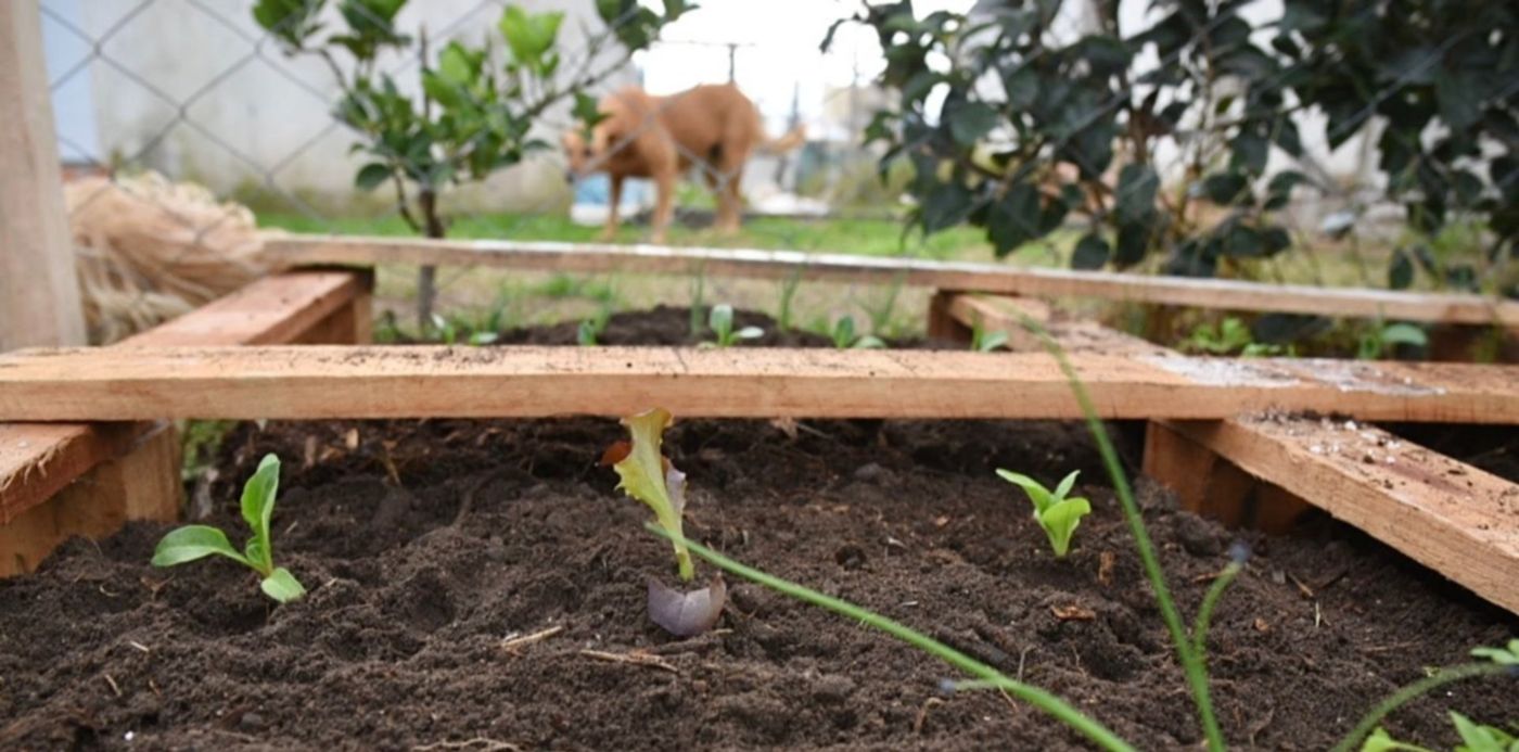 1592495208444.jpg?&cw=1920&ch=950