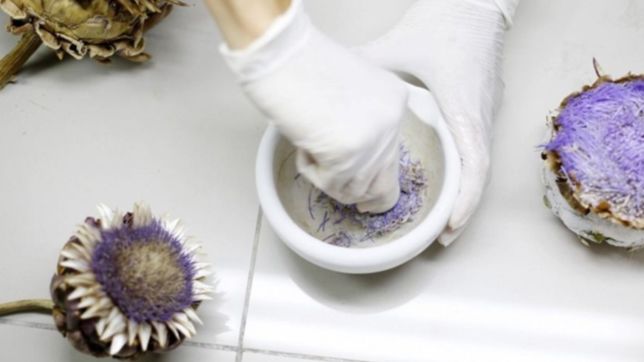 cientificos de la unlp desarrollaron un metodo natural para hacer quesos