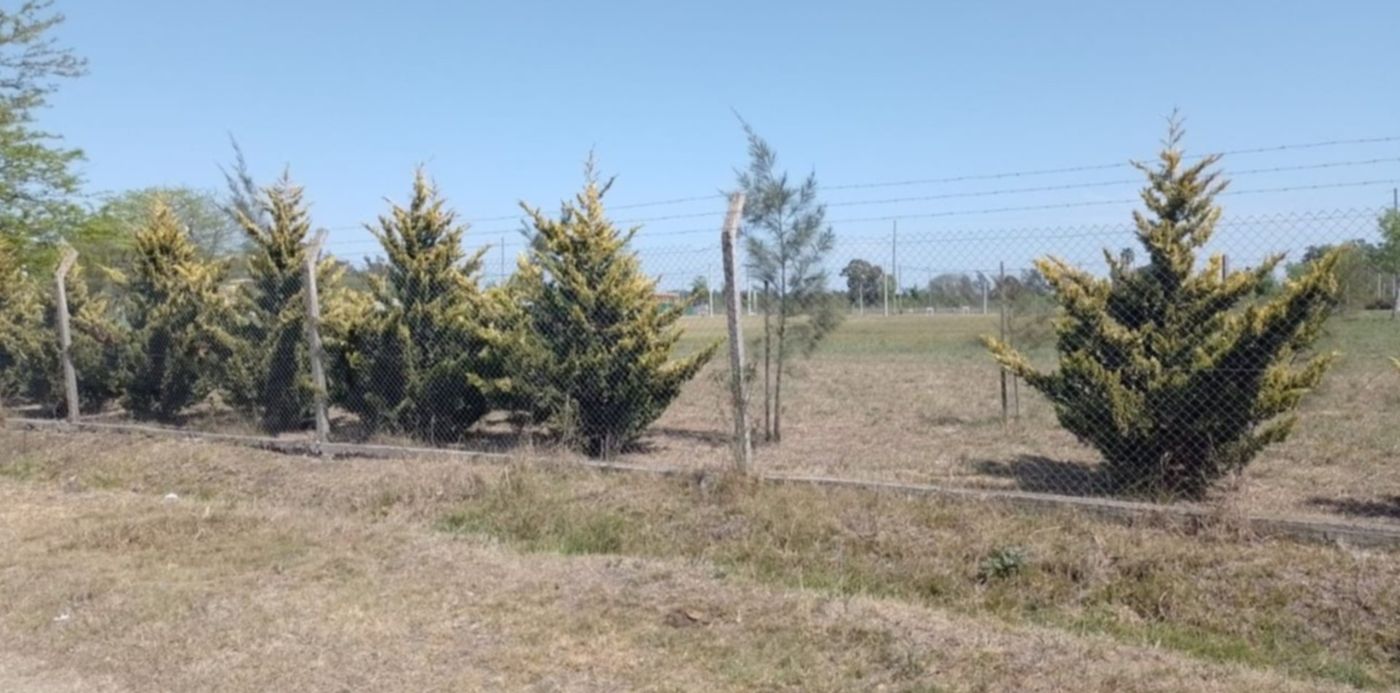 Desarrolladora ocupó el espacio público