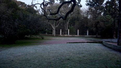 La Plata vive el día más frío del año y así seguirá el clima durante el fin de semana La Plata vive el día más frío del año y así seguirá el clima durante el fin de semana