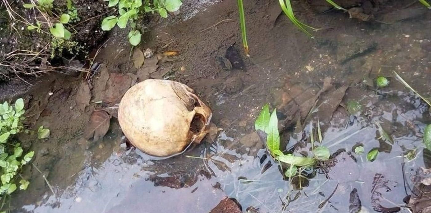 1532976534074.jpg?&cw=1920&ch=950