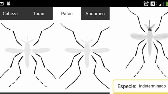 caza mosquitos y appear, las dos apps platenses que van al mundial de la biodiversidad
