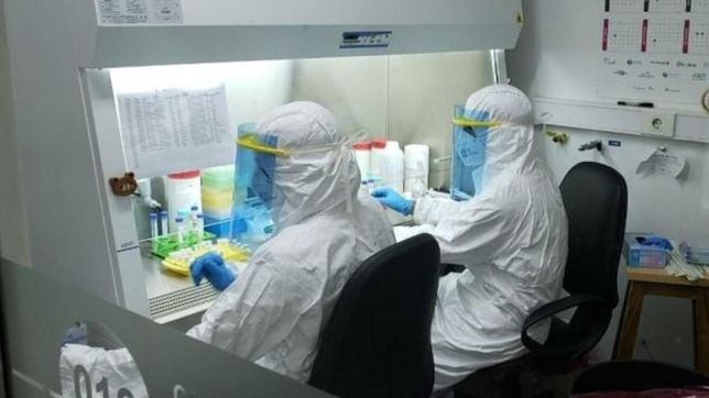 ya son mas de 50 mil los fallecidos por coronavirus en argentina