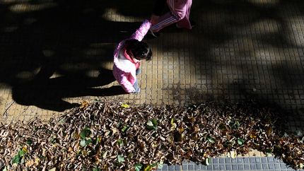 Después de la lluvia, La Plata cierra la semana con un viernes fresco y soleado