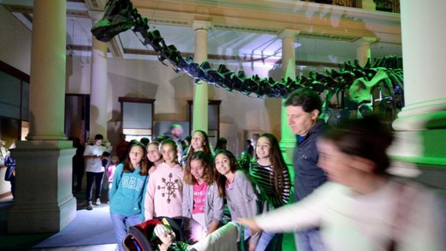 los museos de la unlp no seran parte de los museos a la luz de la luna por la pandemia
