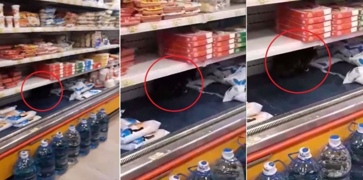 1600352736080.jpg?x=27&y=10&width=1439&height=720&rotate=0&scaleX=1&scaleY=1&ow=1500&oh=742&&cw=1920&ch=950