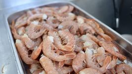con una nueva pescaderia, el mercado bonaerense de la plata renovo ofertas y ofrece descuentos con cuenta dni